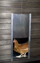 Kippengaas voor kippenhokken - Chicksafe - Alu