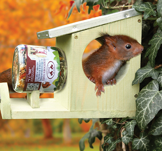 Feeding board / feeding house for Friday sweets for squirrels - incl. peanut butter